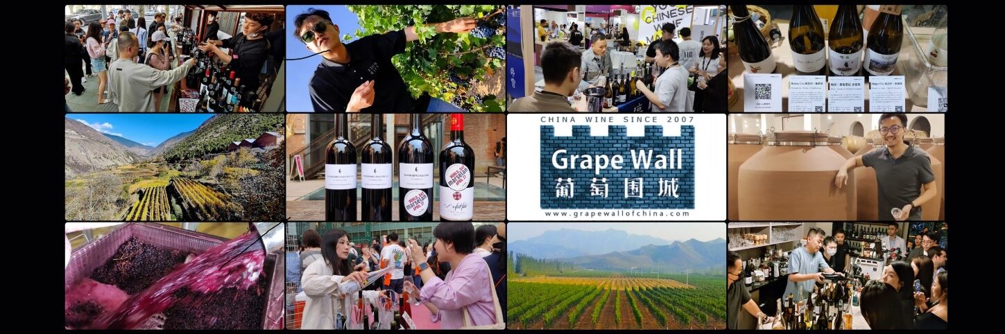 Grape Wall of China