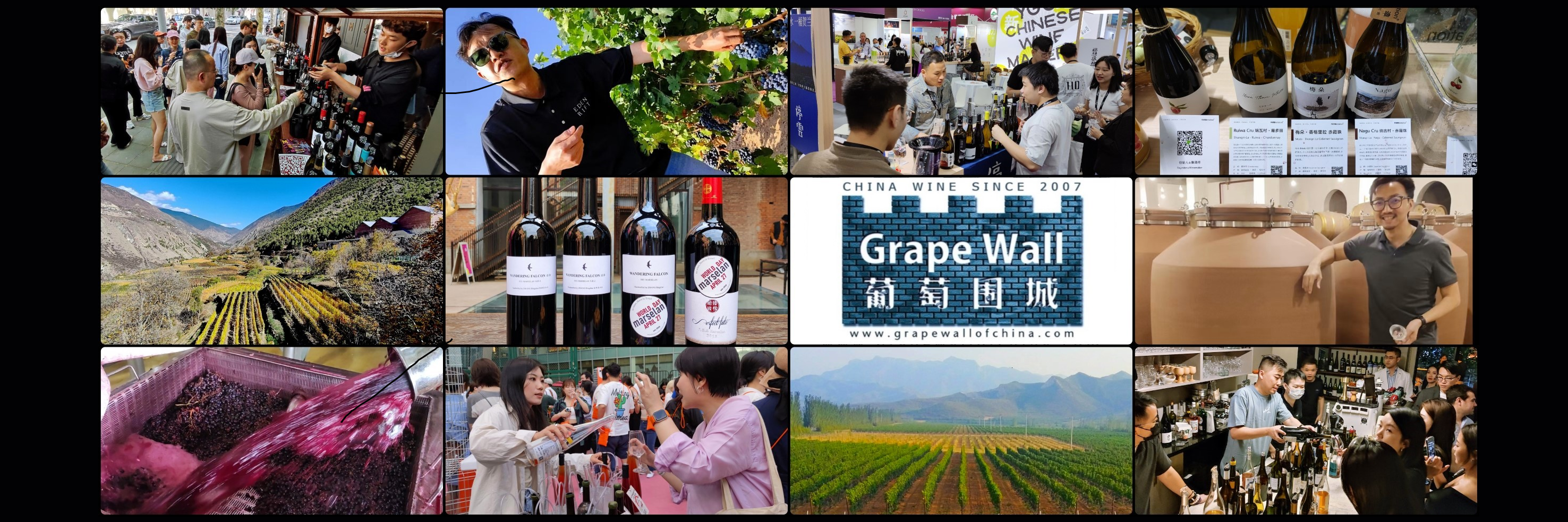 Grape Wall of China